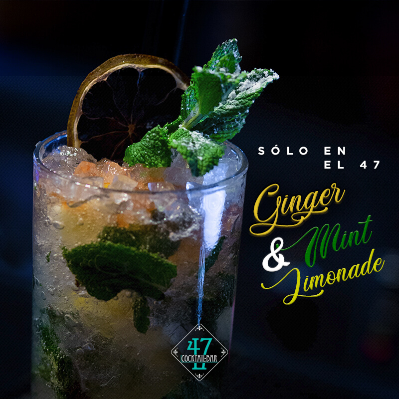 ginger-and-mint-limonade (1) ginger-and-mint-limonade (1)